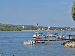 Rhein bei Heidesheim IMG_1704.jpg Vorschau: 249x187