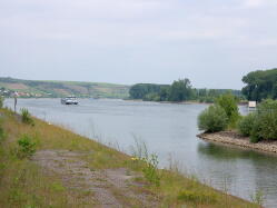 Rhein vor Nierstein IMG_1250.jpg Vorschau: 249x187